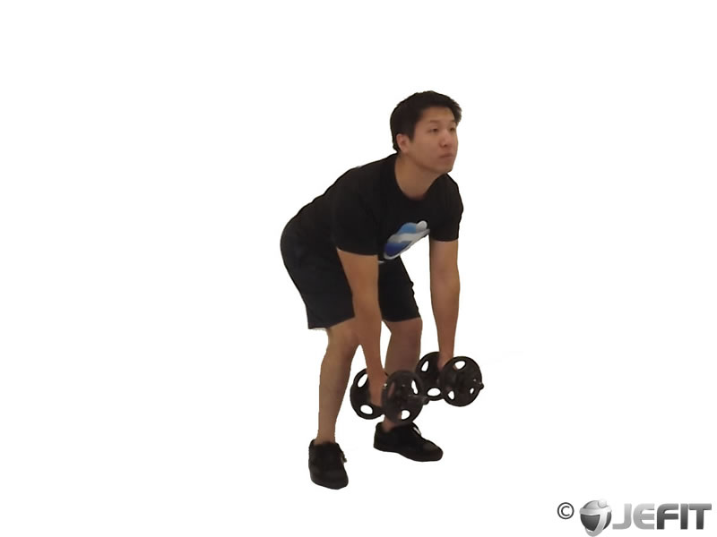 Dumbbell Bent Over Delt Raise