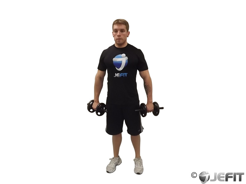 Dumbbell Biceps Curl Reverse