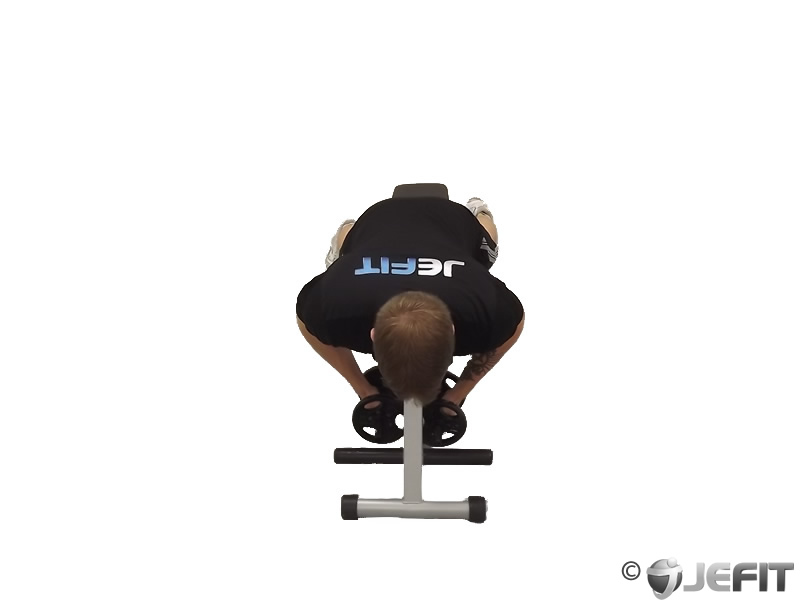 Dumbbell Lying Rear Lateral Raise