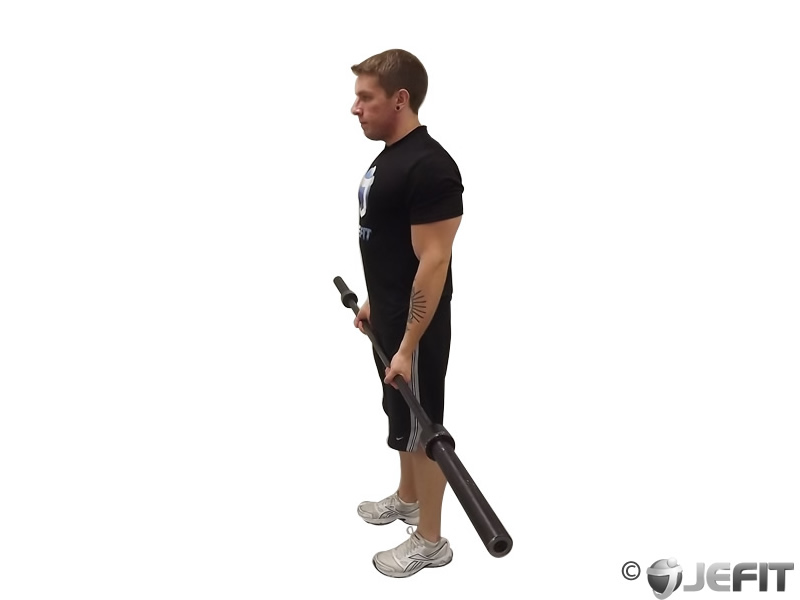 Barbell Bicep Drag Curl