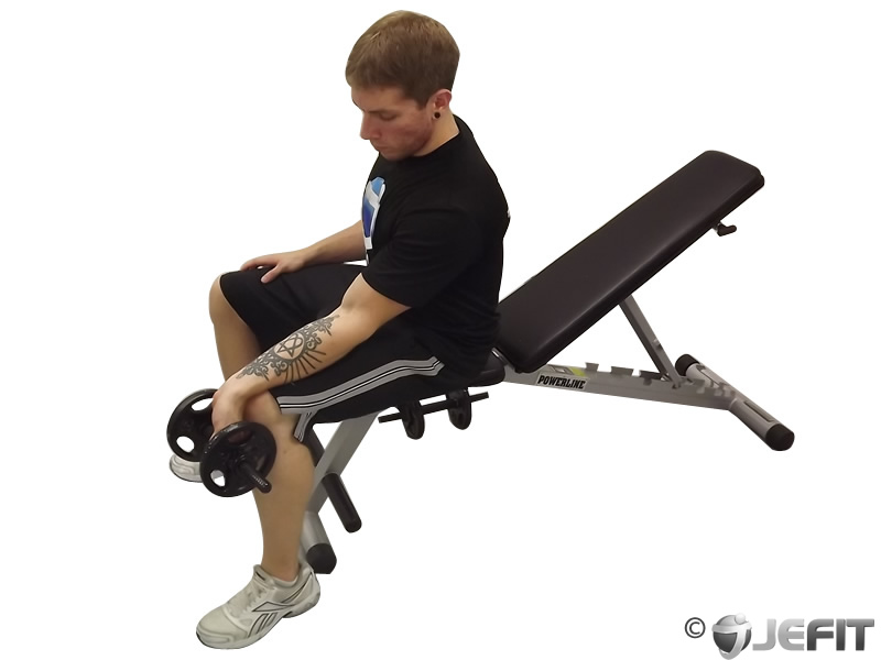 Dumbbell Seated Palms Up One Arm Wrist Curl