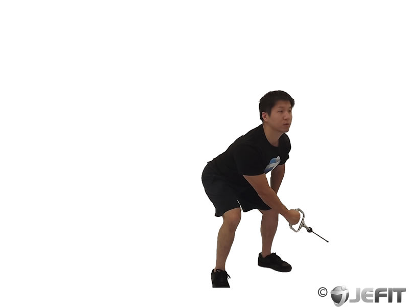 Cable Bent Over Low Pulley Side Lateral