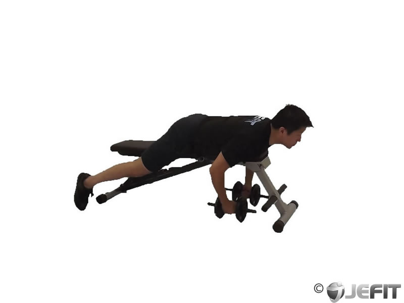 Lying Rear Delt Raise