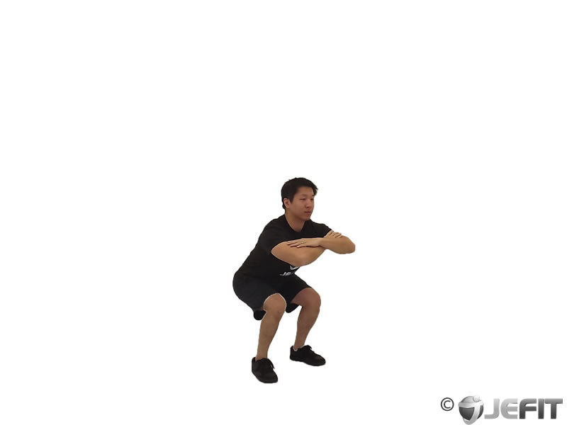 Freehand Jump Squat