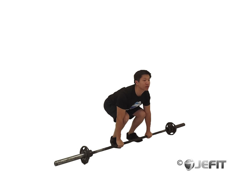 Barbell Deadlift