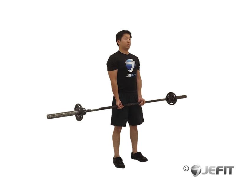 Barbell Close Grip Standing Curl