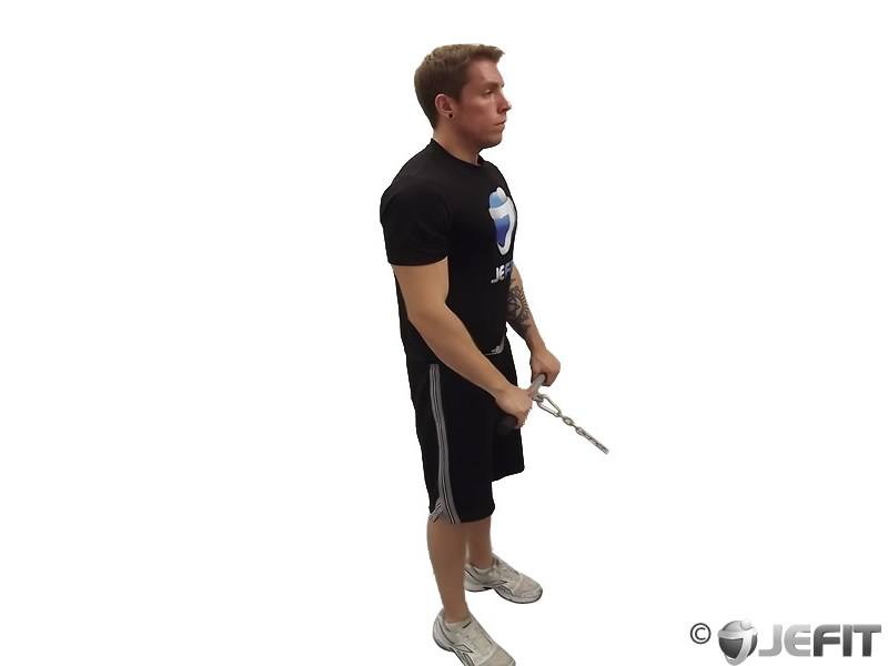 Cable Reverse Curl