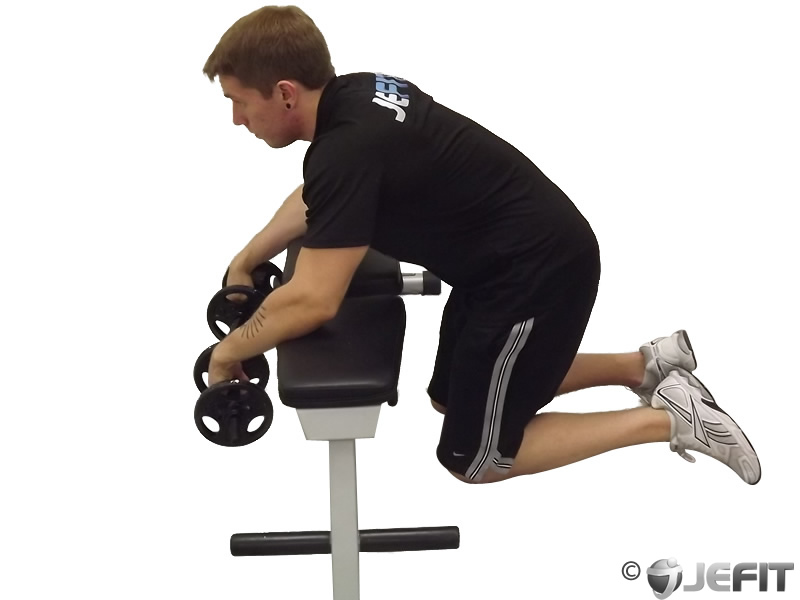 Seated Dumbbell Palms Down Wrist Curl Reverse Barbell Wrist Curl