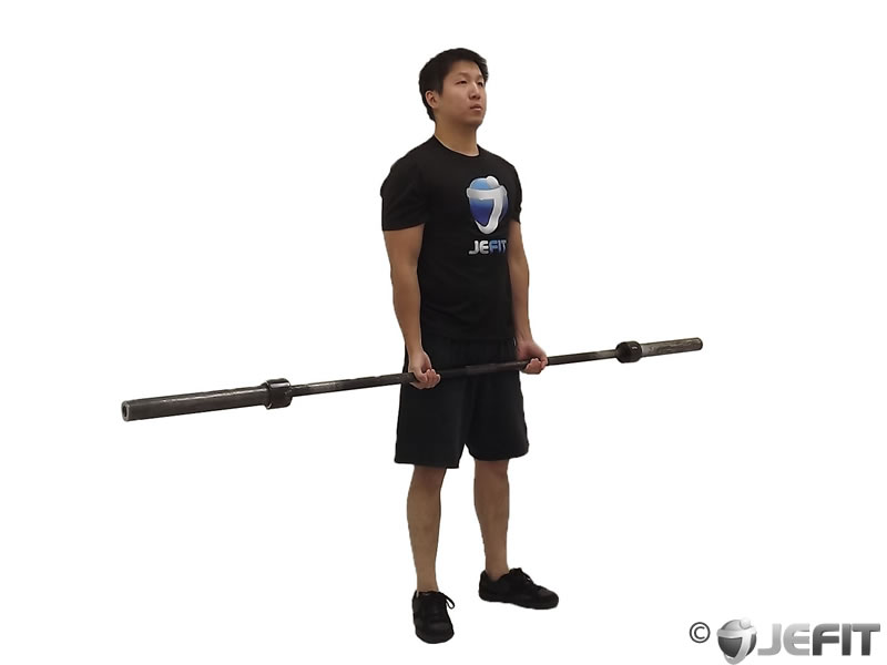 Barbell Curl