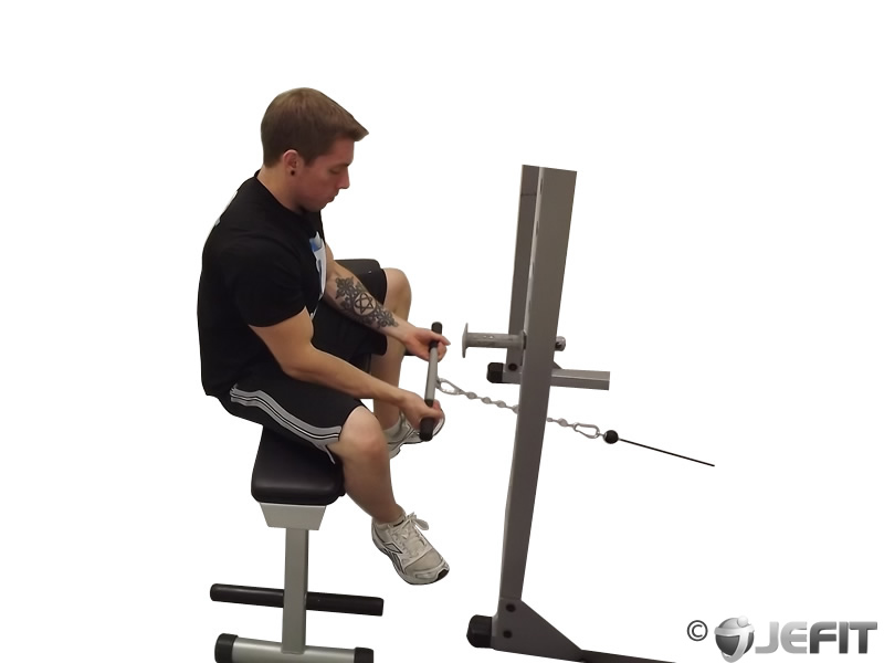 Cable Wrist Curl