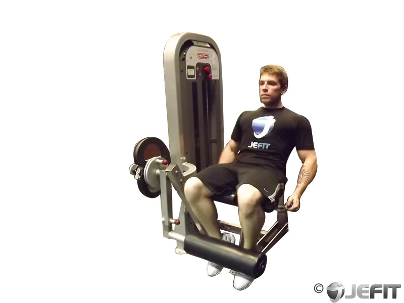Leg Extensions