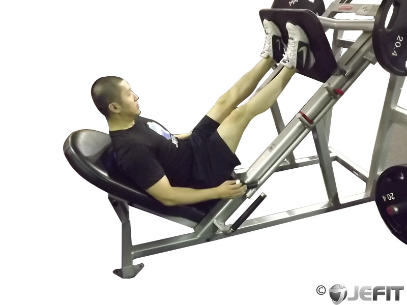 Leg Press