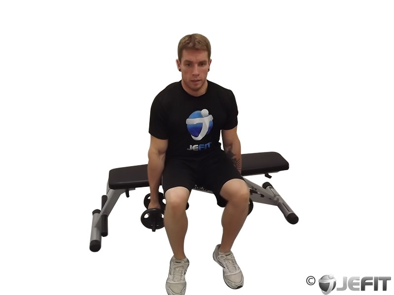 Dumbbell Seated Side Lateral Raise