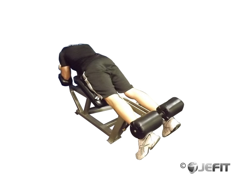 Lying Leg Curls