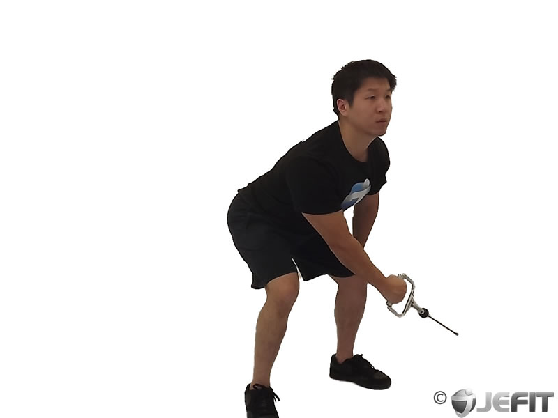 Cable Lateral Raise