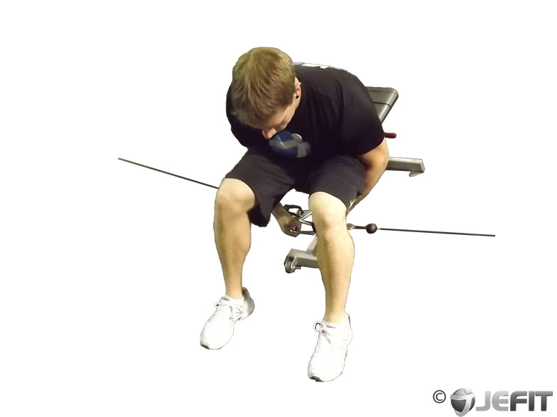 Cable Rear Lateral Raise