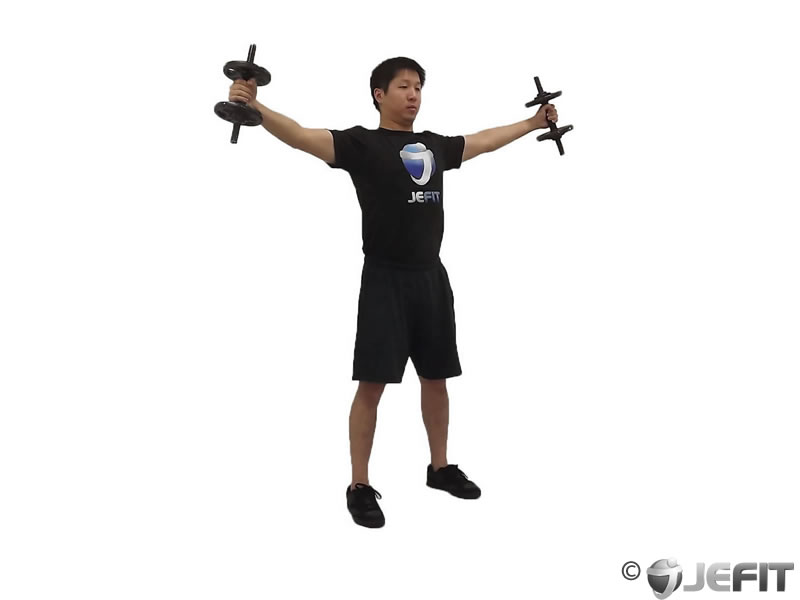 Dumbbell Iron Cross