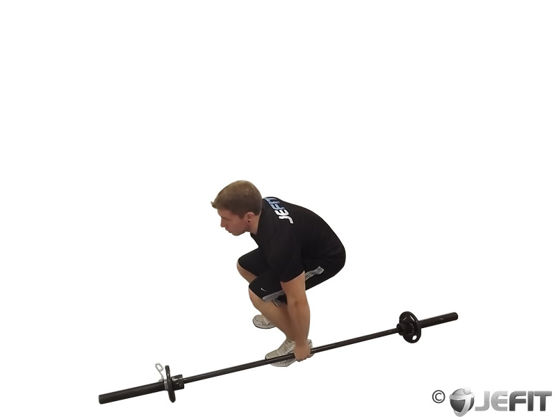Barbell One Arm Side Deadlift