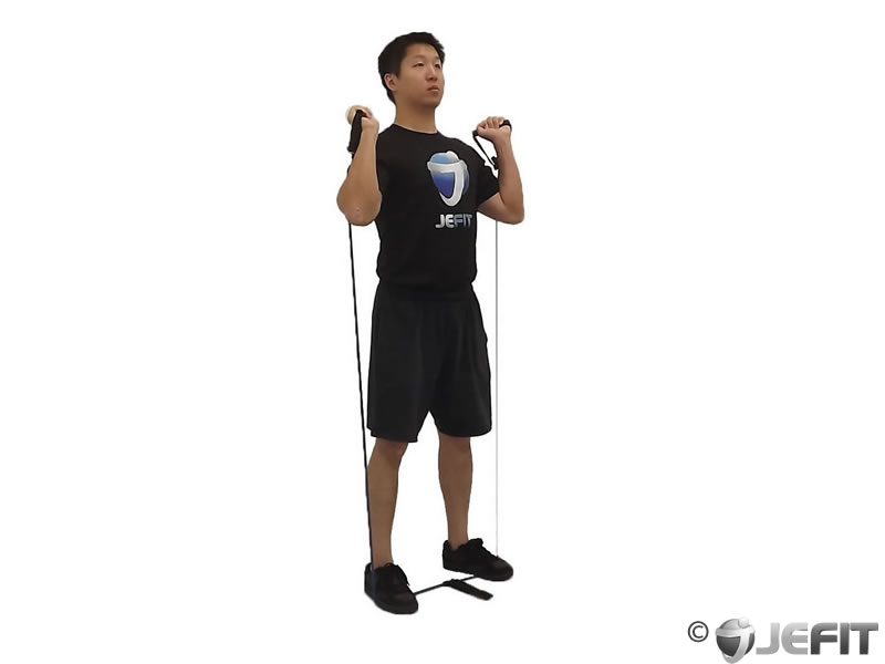 Band Squat Exercise Database Jefit Best Android and iPhone