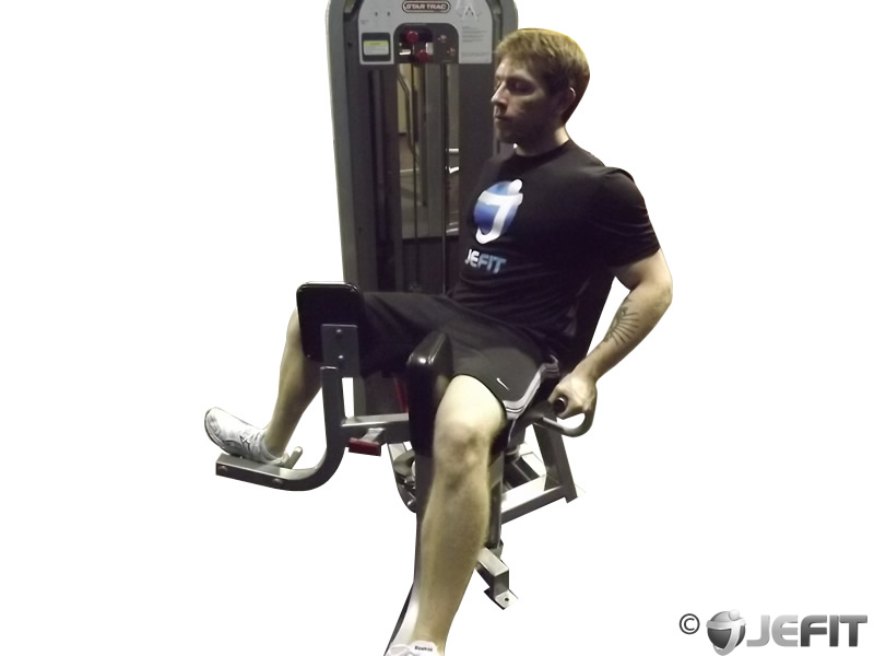 Thigh Adductor