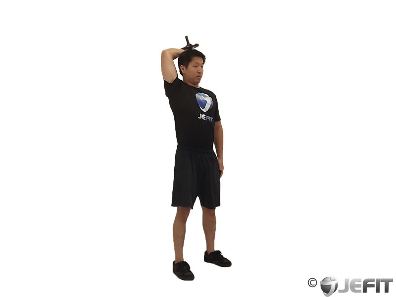 Dumbbell Standing One Arm Triceps Extension