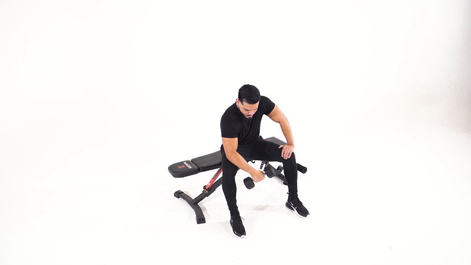 Dumbbell Seated One-Arm Wrist Curl