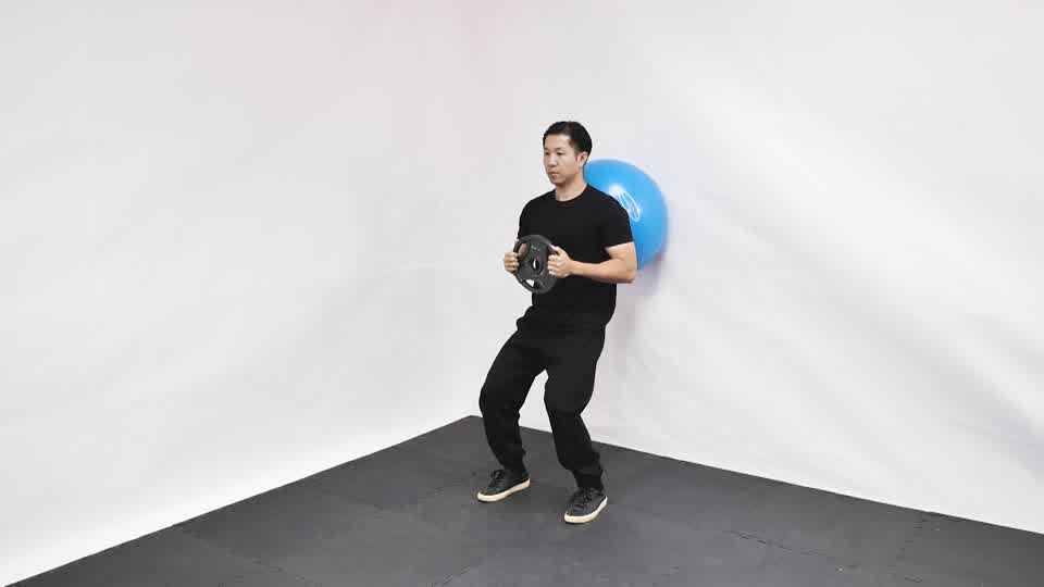 Stability Ball Weighted Wall Squat