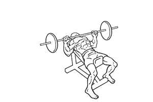 Barbell Close Grip Bench Press