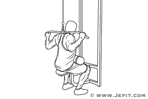 Dumbbell Shoulder Shrug