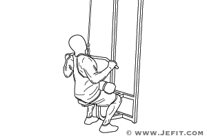 Dumbbell Upright Row