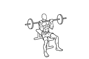 Barbell Decline Bench Press