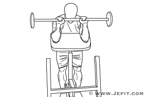 Barbell Lying Triceps Extension 