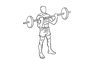 Ab Crunch Machine