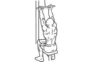 Back Extensions - Hyperextensions