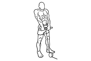 Barbell Shrug