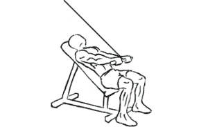 Alternate Hammer Curl