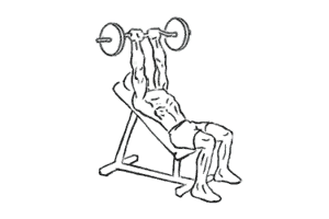 Barbell Behind The Back Wrist Curl