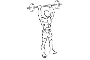 Cable Wrist Curl