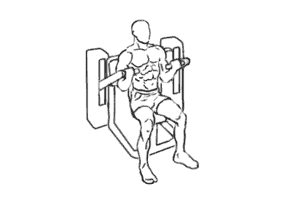 Barbell Seated Calf Raise