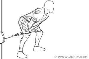 Back Extension on Stability Ball