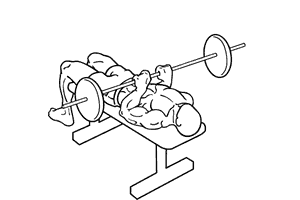 Barbell Bench Press