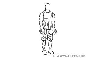 Barbell Hack Squat