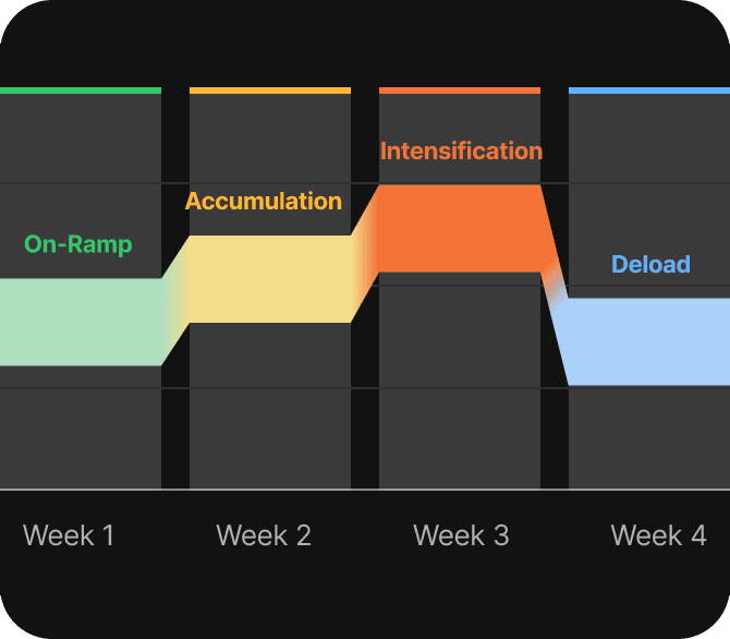 Mesocycle phases