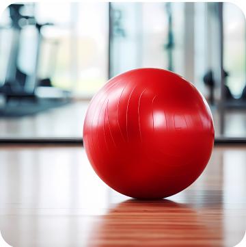 exercise_ball group image