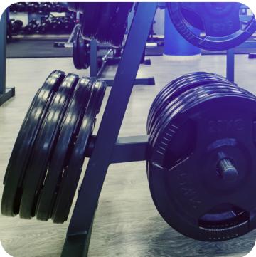 weight_plate group image