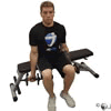 Dumbbell Seated Bicep Curl Demonstration
