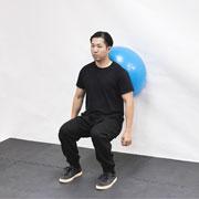 Stability Ball Wall Squat Demonstration
