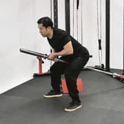 Barbell Landmine Double Arm Row Demonstration