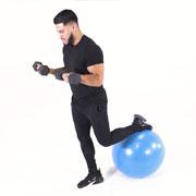 Dumbbell Bicep Curl on Stability Ball Demonstration