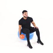 Medicine Ball Bicep Curl on Stability Ball Demonstration